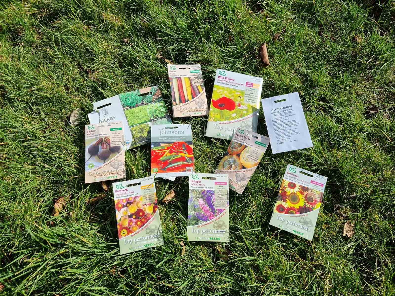 The Big Seed Swap & Share